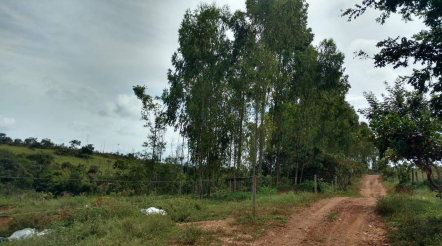 Imagem Fazenda à Venda, 8 Alq GOem Zona Rural - Silvânia