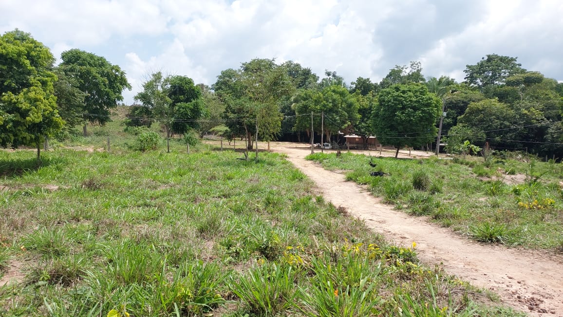 Imagem Fazenda à Venda, 9 Alq MGem Nova Marabá - Marabá