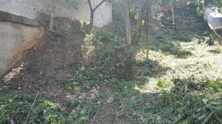 Imagem Terreno à Venda, 500 m² em Vila Gustavo - São Paulo