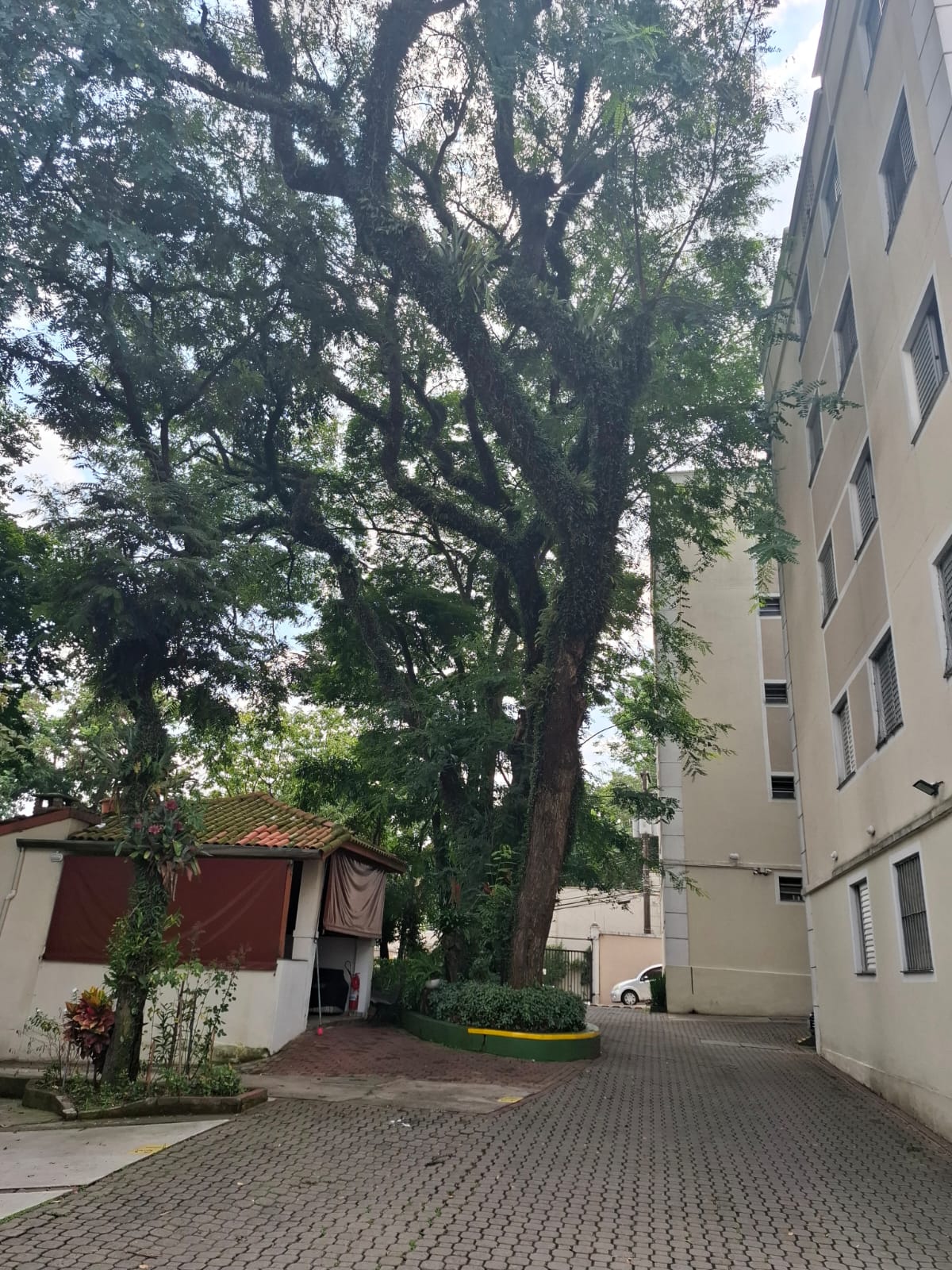 Imagem Apartamento com 2 Quartos à Venda, 47 m² em Jardim Leonor - São Paulo
