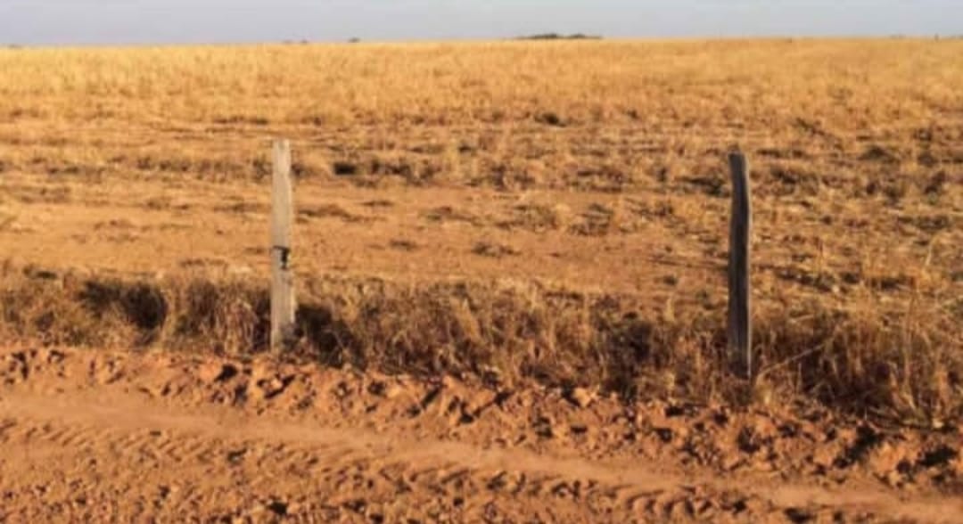 Imagem Imóvel à Venda, em Zona Rural - Confresa