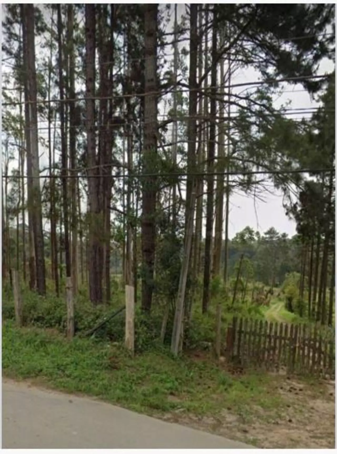 Imagem Terreno à Venda, 54 m²em Jardim Campestre - Embu-Guaçu
