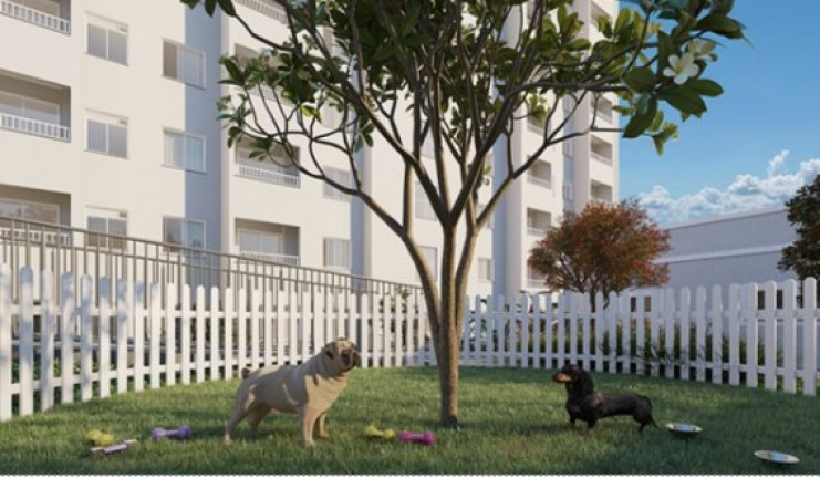 Imagem Apartamento com 2 Quartos à Venda, 37 m² em Paraisópolis - São Paulo