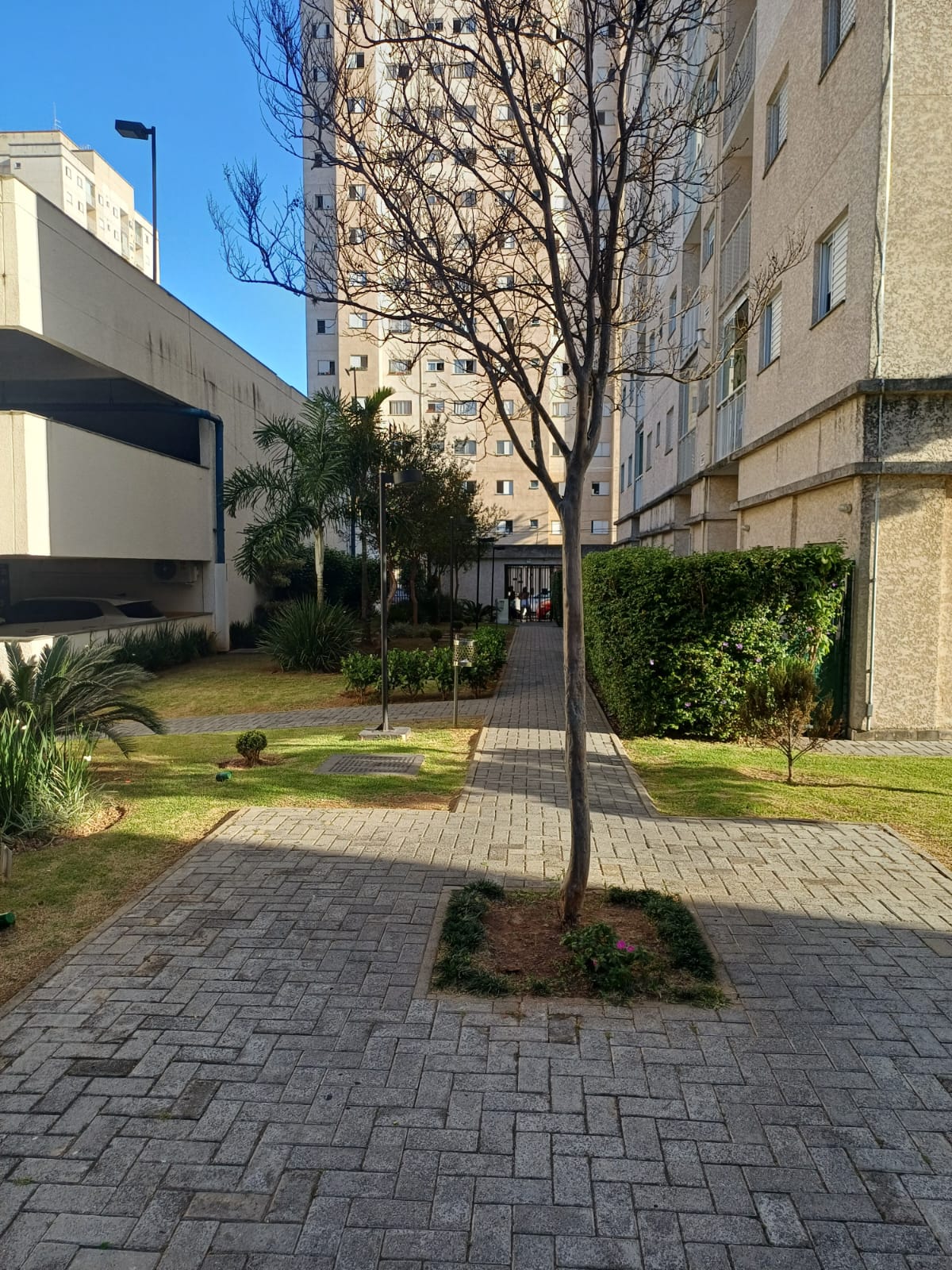 Imagem Apartamento com 3 Quartos à Venda, 66 m²em Jardim Modelo - São Paulo