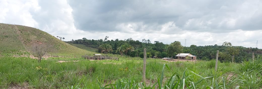 Imagem Fazenda à Venda, 9 Alq MGem Nova Marabá - Marabá