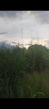 Imagem Terreno à Venda, 20.000 m² em Chácaras Brasil B - Valparaíso de Goiás