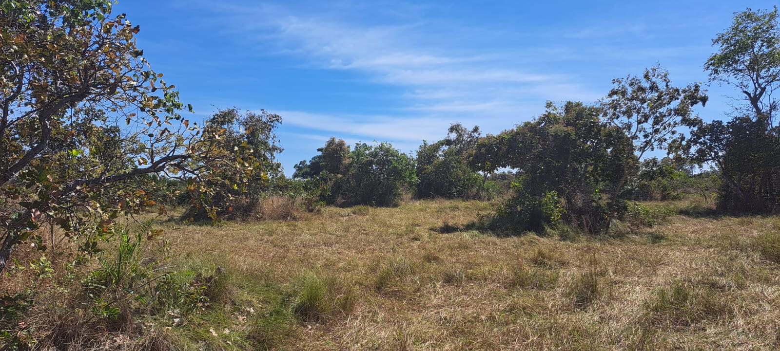 Imagem Fazenda à Venda, 25 Alq GOem Zona Rural - Araguaiana