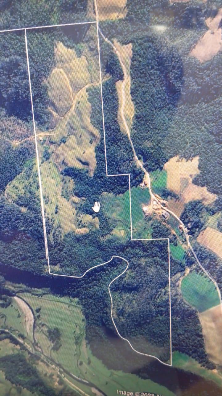 Imagem Fazenda à Venda, 34 HAem Brusque do Sul - Orleans