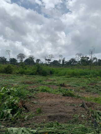 Imagem Fazenda à Venda, 837 HA em Área Rural de Santarém - Santarém Imagem Fazenda à Venda, 837 HA em Área Rural de Santarém - Santarém