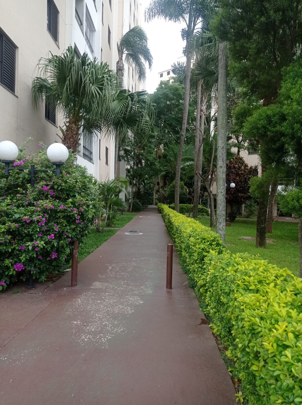 Imagem Apartamento com 3 Quartos à Venda, 76 m²em Jardim Bontempo - Taboão da Serra
