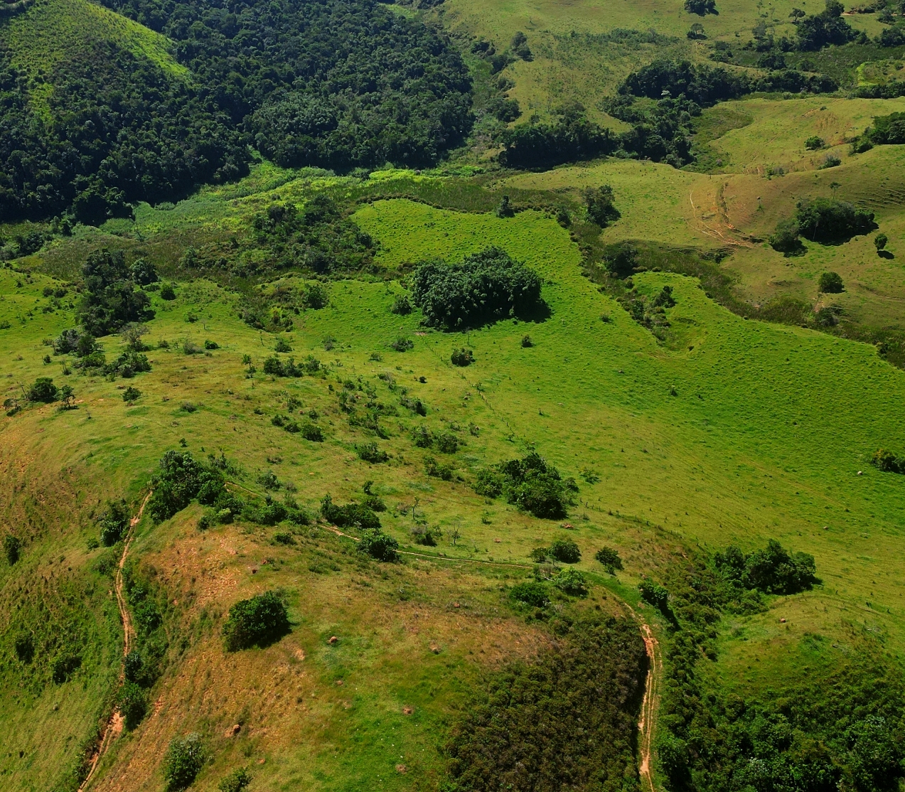 Imagem Fazenda à Venda, 459.000 HA em Área Rural de Valença - Valença
