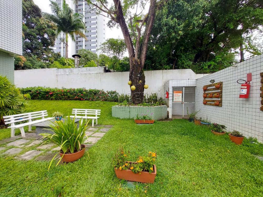 Imagem Apartamento com 2 Quartos à Venda ou Locação, 80 m²em Monteiro - Recife Imagem Apartamento com 2 Quartos à Venda ou Locação, 80 m²em Monteiro - Recife