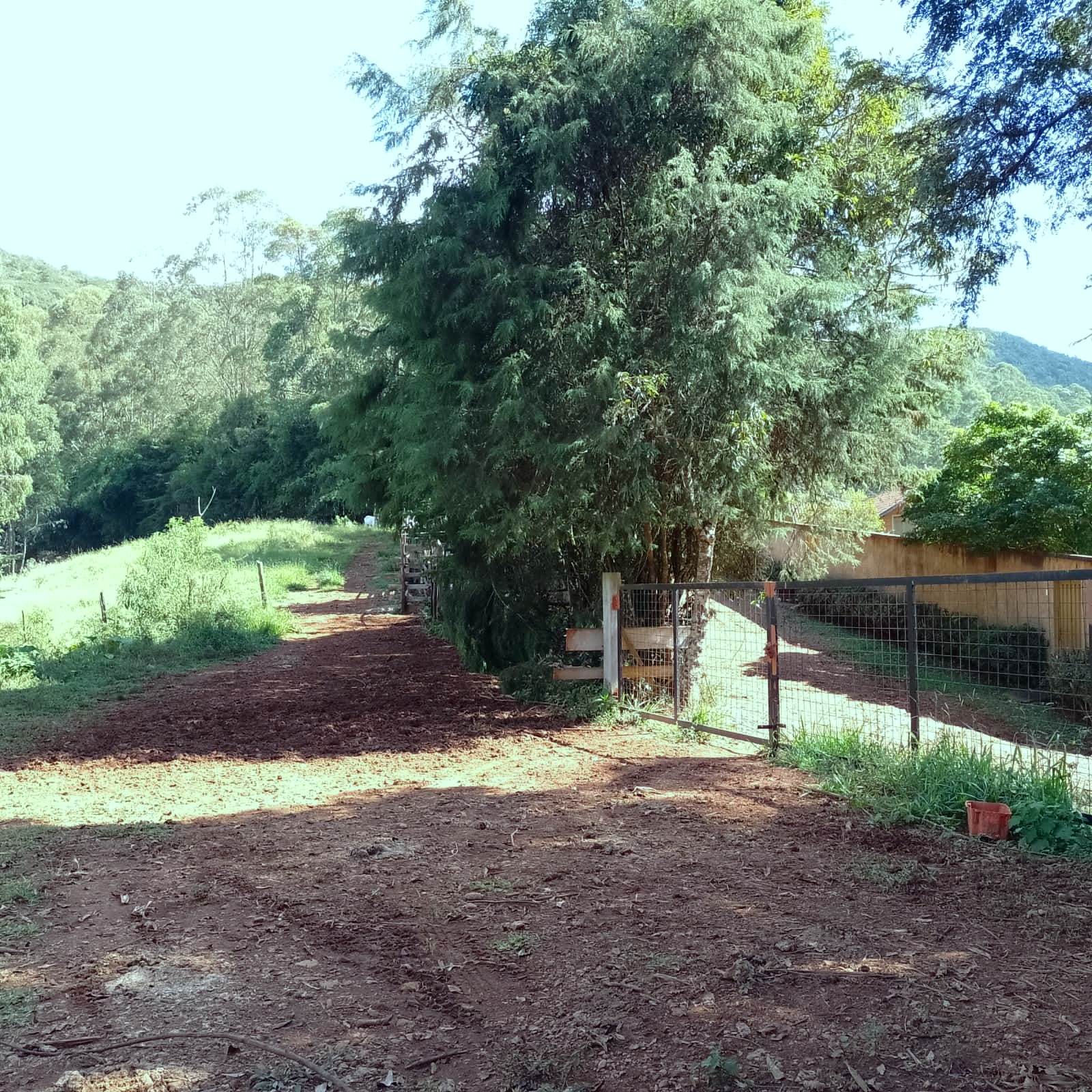Imagem Chácara à Venda, 20.000 m² em Centro - Poços de Caldas Imagem Chácara à Venda, 20.000 m² em Centro - Poços de Caldas