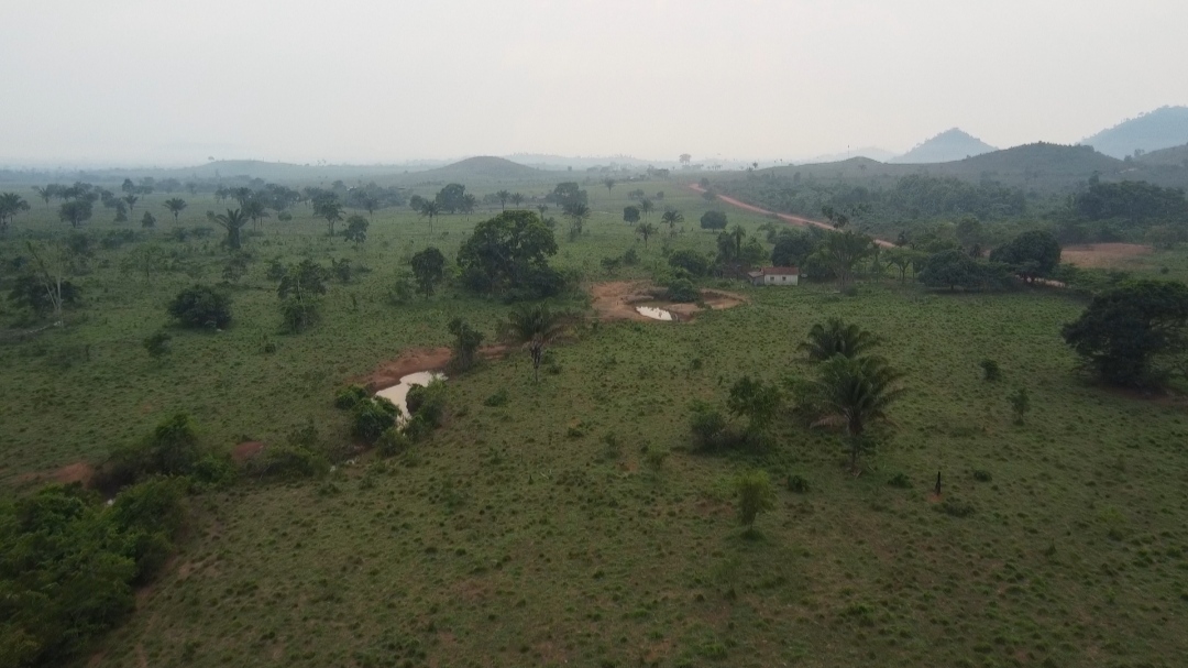 Imagem Fazenda à Venda, 1 m²em Centro - São Félix do Xingu Imagem Fazenda à Venda, 1 m²em Centro - São Félix do Xingu