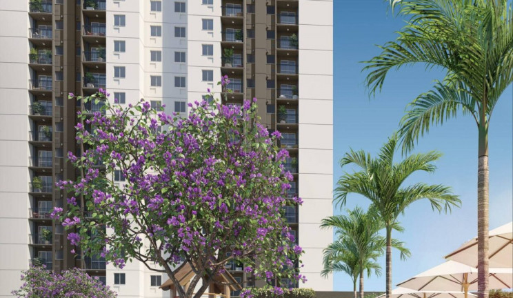 Imagem Apartamento com 2 Quartos à Venda, 48 m² em Del Castilho - Rio de Janeiro Imagem Apartamento com 2 Quartos à Venda, 48 m² em Del Castilho - Rio de Janeiro