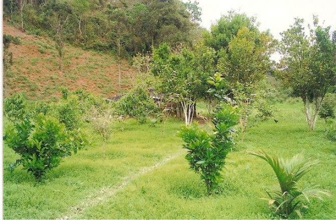 Imagem Terreno à Venda, 726.000 m² em Jardim Mirna - Taboão da Serra Imagem Terreno à Venda, 726.000 m² em Jardim Mirna - Taboão da Serra
