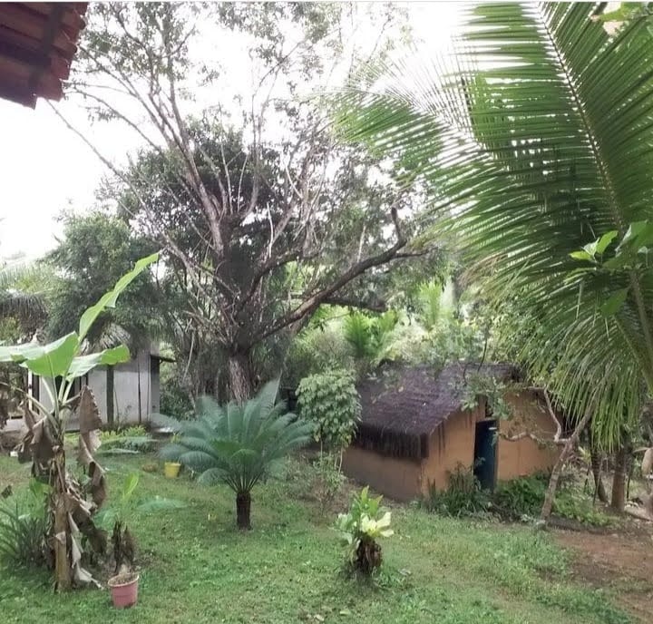 Imagem Chácara com 2 Quartos à Venda, 80 m²em Velha Boipeba - Cairu