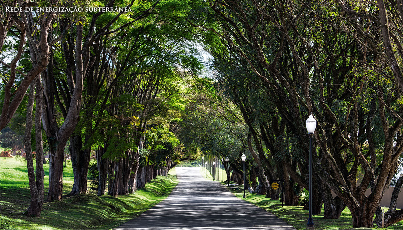 Imagem Terreno à Venda, 800 m²em Bairro Rio Abaixo - Itupeva 
