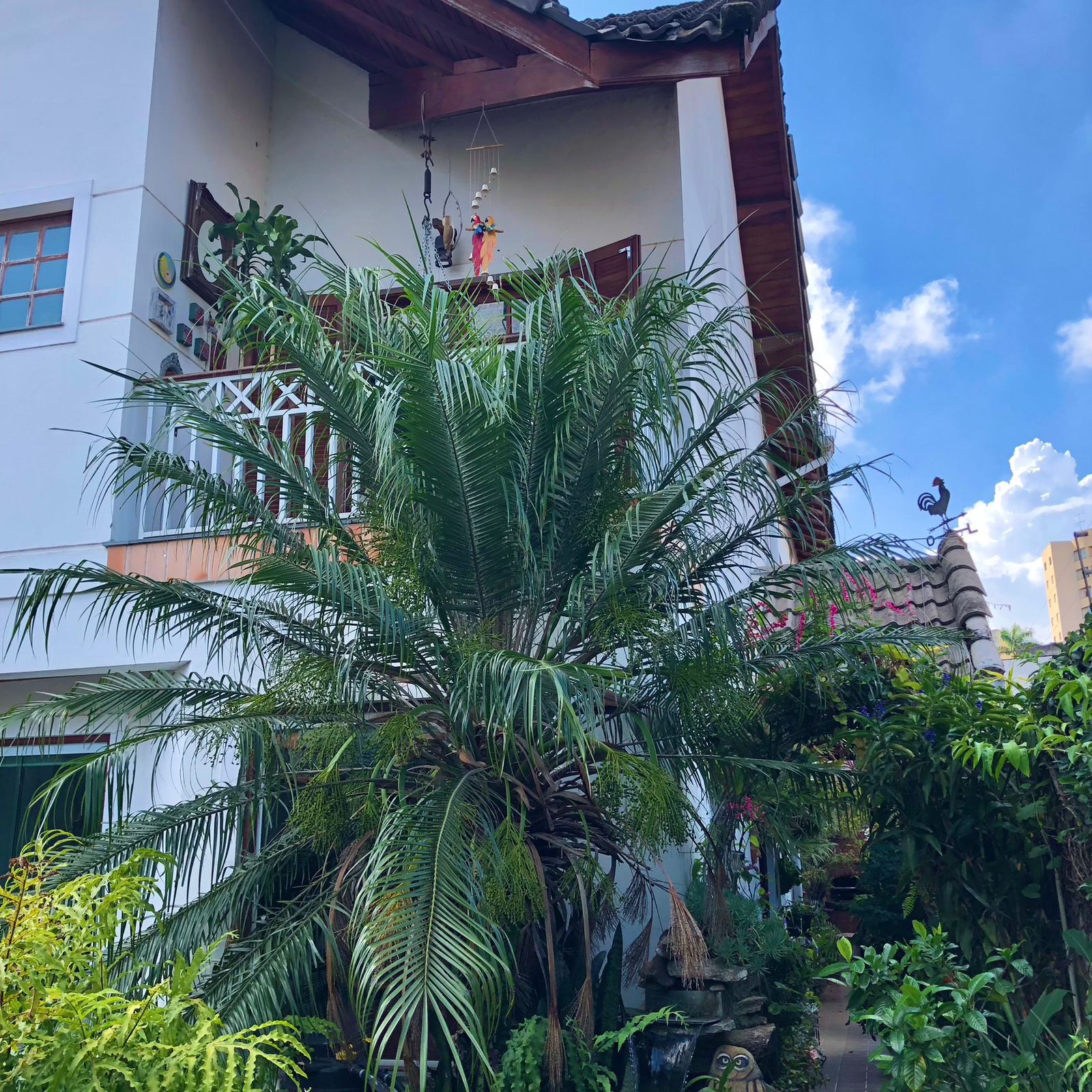 Imagem Casa com 3 Quartos à Venda, 218 m²em Vila Matilde - São Paulo Imagem Casa com 3 Quartos à Venda, 218 m²em Vila Matilde - São Paulo