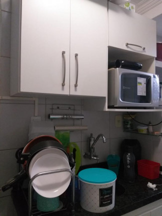 Imagem Apartamento com 2 Quartos para Alugar, 42 m² em Turu - São Luís Imagem Apartamento com 2 Quartos para Alugar, 42 m² em Turu - São Luís