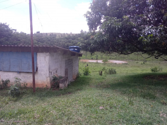 Imagem Chácara com 4 Quartos à Venda, 25.000 m²em Jardim Palmeiras - Caçapava