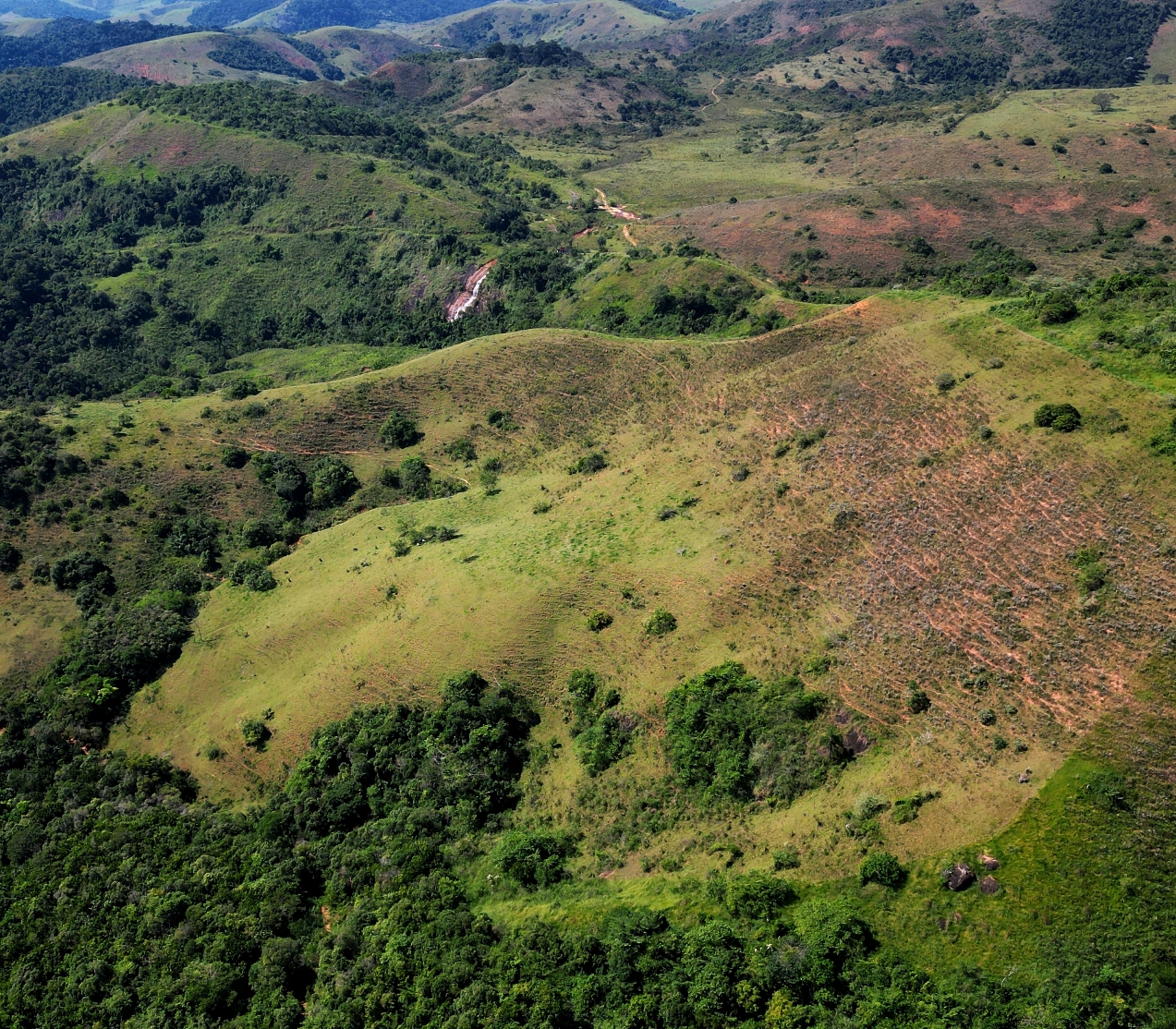 Imagem Fazenda à Venda, 459.000 HA em Área Rural de Valença - Valença