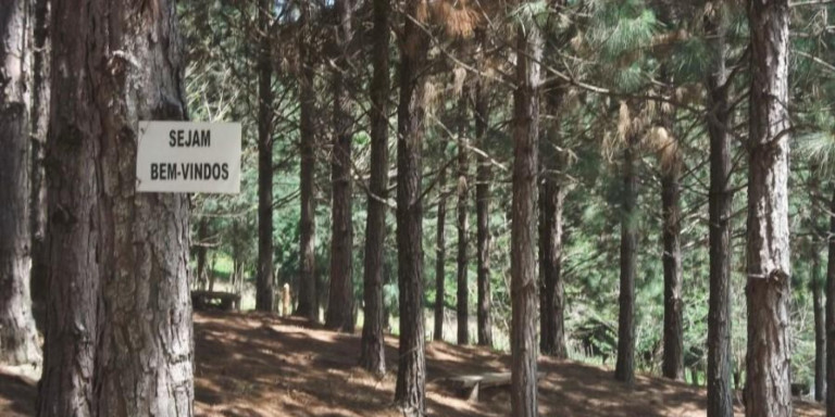 Imagem Chácara com 9 Quartos à Venda, 121 m² em Centro - Santa Isabel Imagem Chácara com 9 Quartos à Venda, 121 m² em Centro - Santa Isabel