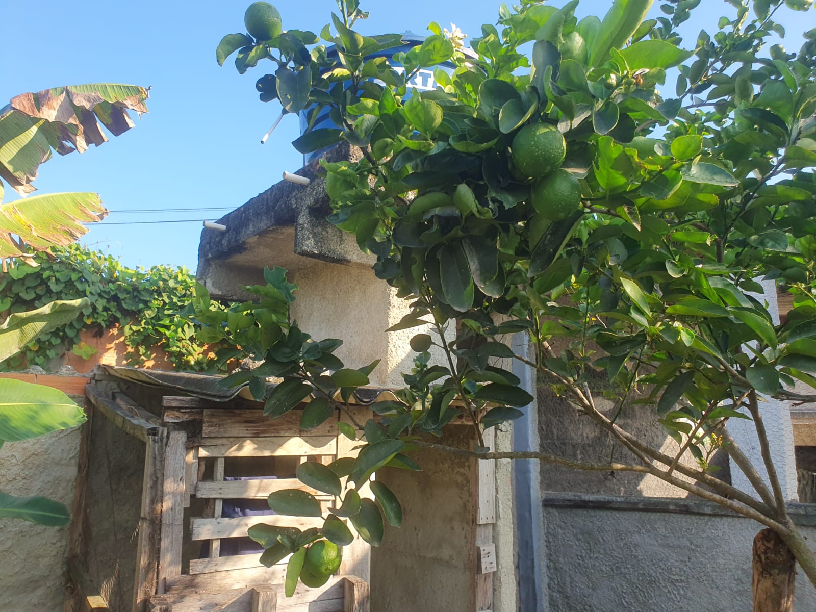 Imagem Terreno à Venda, 128 m² em Bangu - Rio de Janeiro