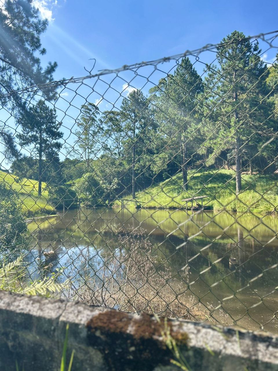 Imagem Terreno em Condomínio à Venda ou Locação, 500 m²em recreio verava - Ibiúna Imagem Terreno em Condomínio à Venda ou Locação, 500 m²em recreio verava - Ibiúna