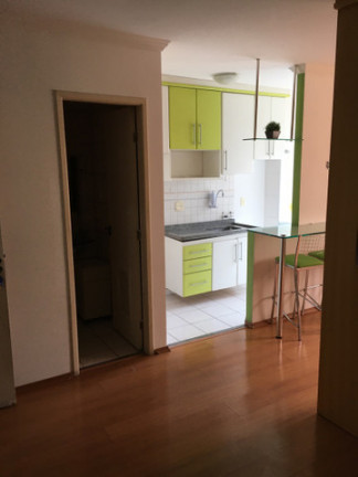 Imagem Apartamento com 1 Quarto para Alugar, 32 m² em Vila Guarani (z Sul) - São Paulo Imagem Apartamento com 1 Quarto para Alugar, 32 m² em Vila Guarani (z Sul) - São Paulo