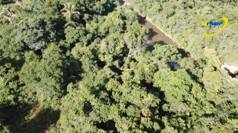 Imagem Fazenda à Venda, 681.000 m² em rural - São João D'Aliança