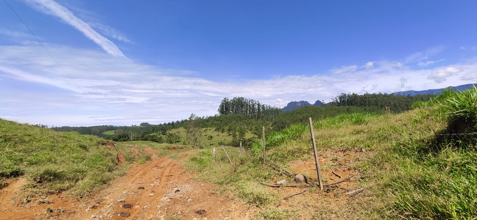 Imagem Fazenda à Venda, 34 HAem Brusque do Sul - Orleans