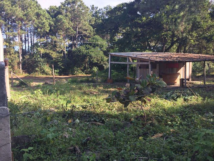 Terreno à Venda, 102 m² em São João Do Rio Vermelho - Florianópolis