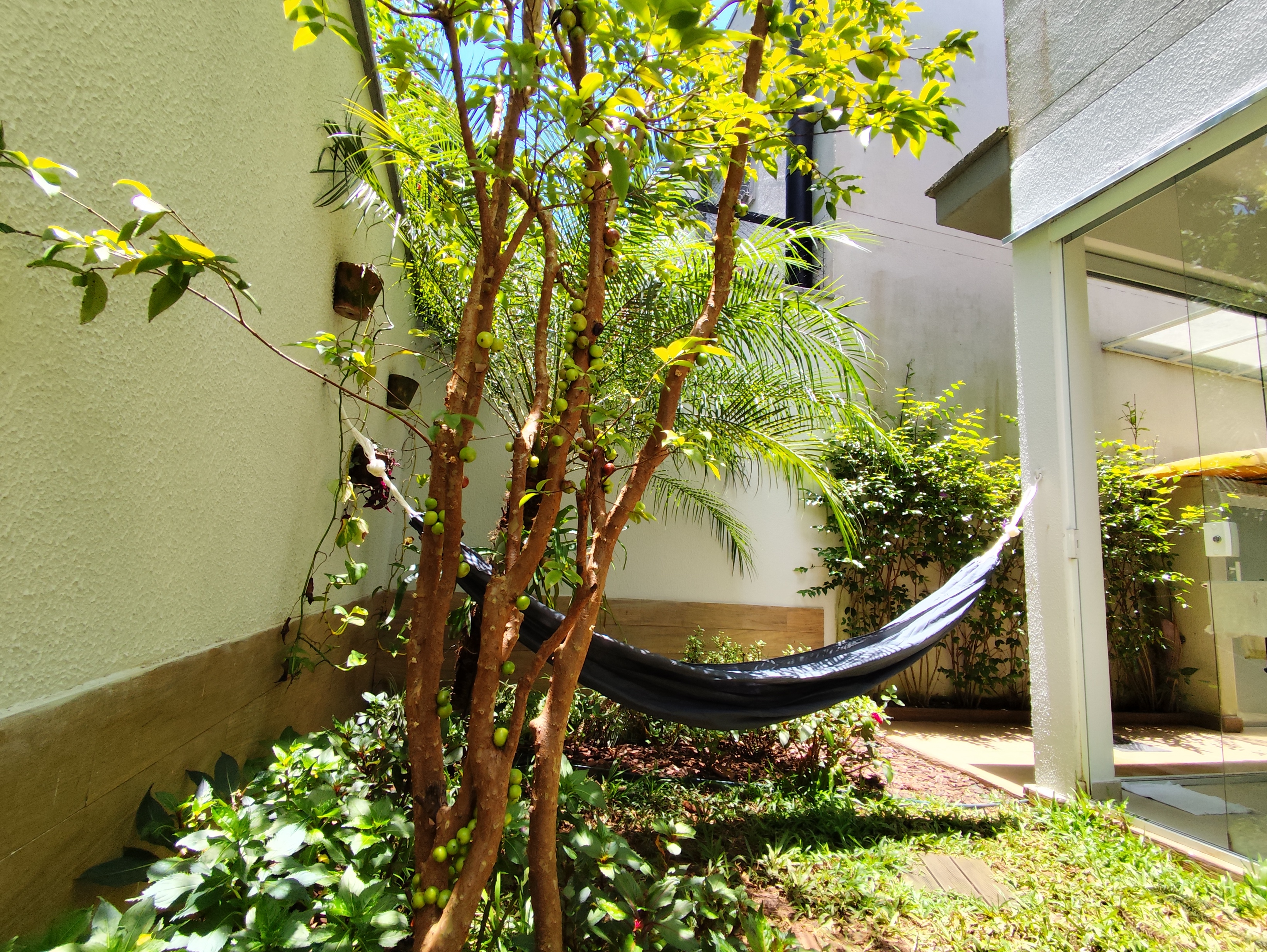 Imagem Casa de Condomínio com 3 Quartos à Venda, 119 m² em Chácara Pavoeiro - Cotia Imagem Casa de Condomínio com 3 Quartos à Venda, 119 m² em Chácara Pavoeiro - Cotia