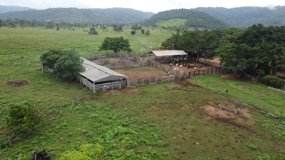 Imagem Fazenda à Venda, 90 m²em Centro - São Félix do Xingu Imagem Fazenda à Venda, 90 m²em Centro - São Félix do Xingu