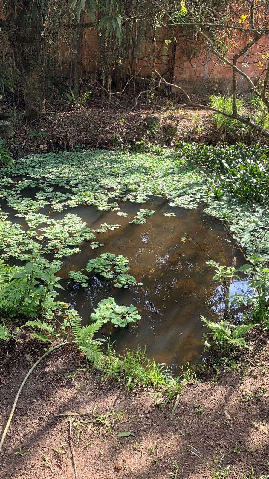 Imagem Terreno à Venda, 17.850 m² em Realengo - Rio de Janeiro