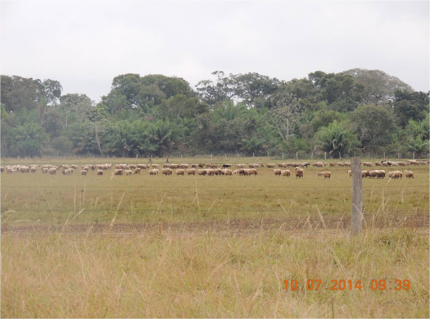 Imagem Fazenda à Venda, 23 HAem Zona Rural - Aquidauana Imagem Fazenda à Venda, 23 HAem Zona Rural - Aquidauana