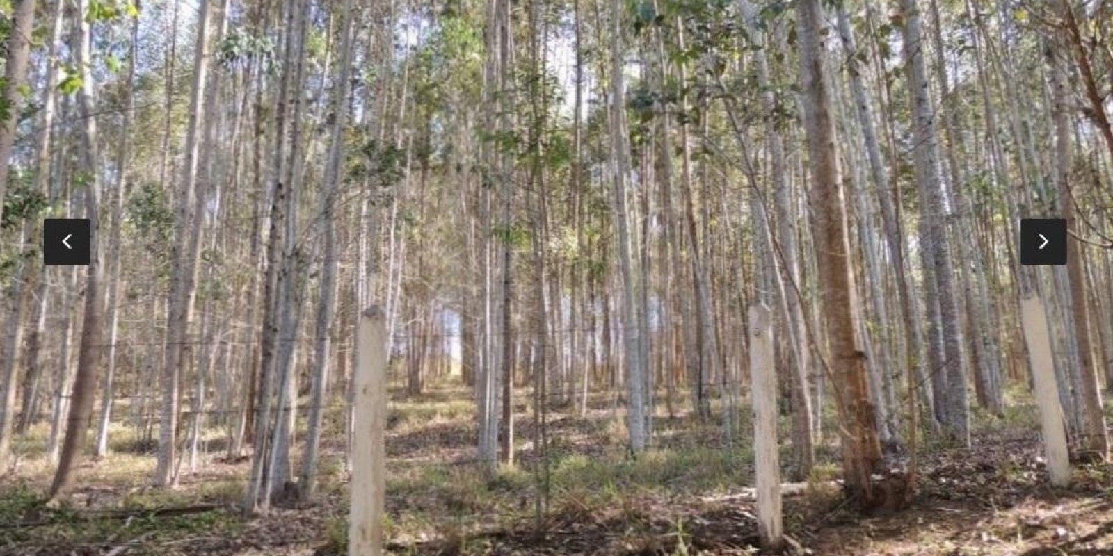 Imagem Chácara com 8 Quartos à Venda, em Centro - Santa Isabel Imagem Chácara com 8 Quartos à Venda, em Centro - Santa Isabel