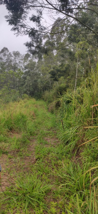 Imagem Terreno à Venda,  em Santaninha - Pedras Grandes