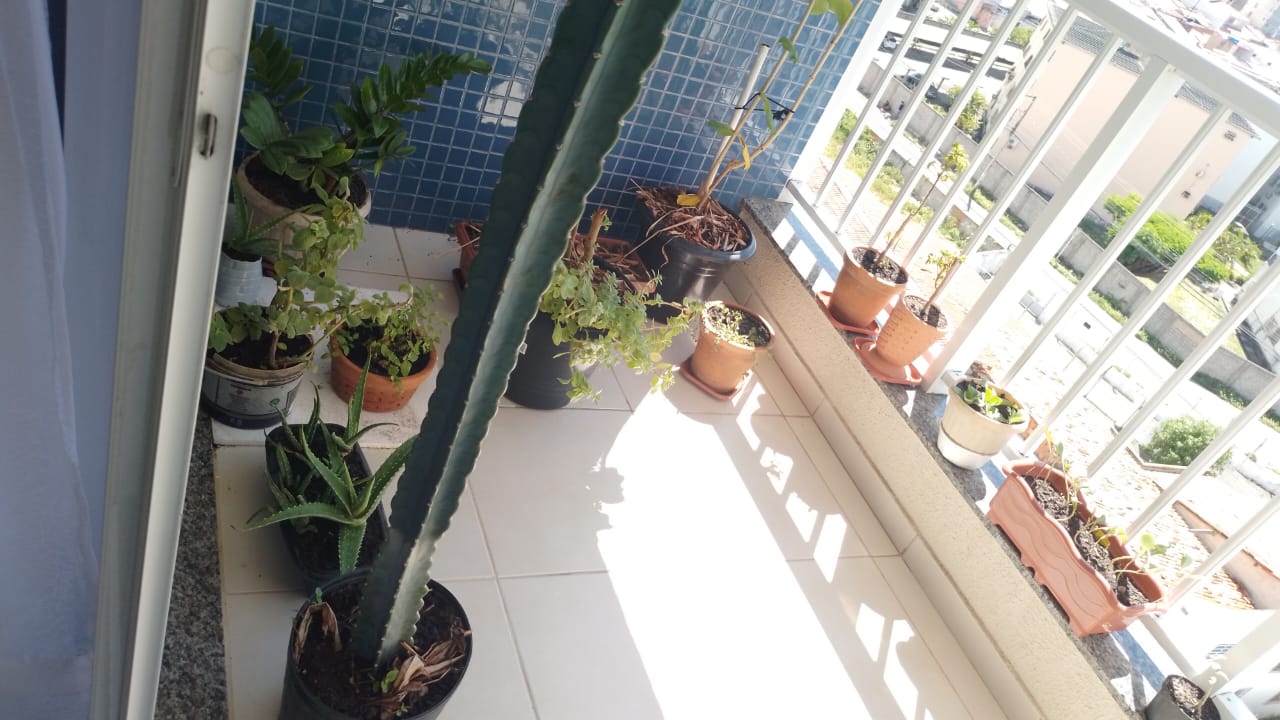 Imagem Apartamento com 3 Quartos à Venda, 70 m²em Farolândia - Aracaju Imagem Apartamento com 3 Quartos à Venda, 70 m²em Farolândia - Aracaju