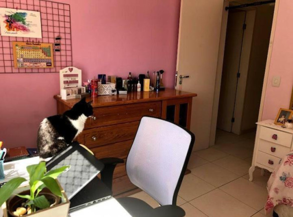 Imagem Apartamento com 3 Quartos à Venda, 105 m² em Mooca - São Paulo