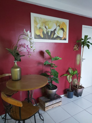 Imagem Apartamento com 2 Quartos à Venda, 50 m² em Ajuda - Macaé Imagem Apartamento com 2 Quartos à Venda, 50 m² em Ajuda - Macaé