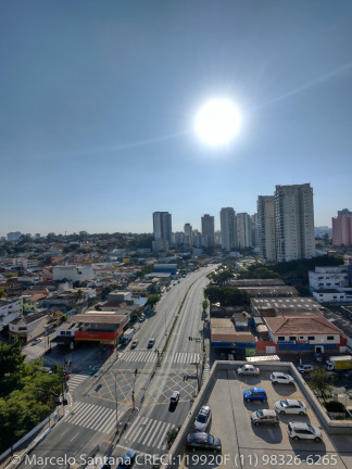 Imagem Apartamento com 3 Quartos para Alugar, 65 m² em Vila Santa Catarina - São Paulo Imagem Apartamento com 3 Quartos para Alugar, 65 m² em Vila Santa Catarina - São Paulo