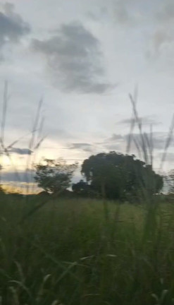 Imagem Terreno à Venda, 20.000 m² em Chácaras Brasil B - Valparaíso de Goiás