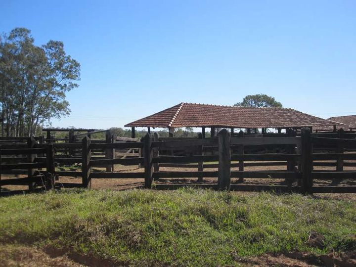 Imagem Fazenda à Venda, 1.864 m² em área Rural De Três Lagoas - Três Lagoas Imagem Fazenda à Venda, 1.864 m² em área Rural De Três Lagoas - Três Lagoas