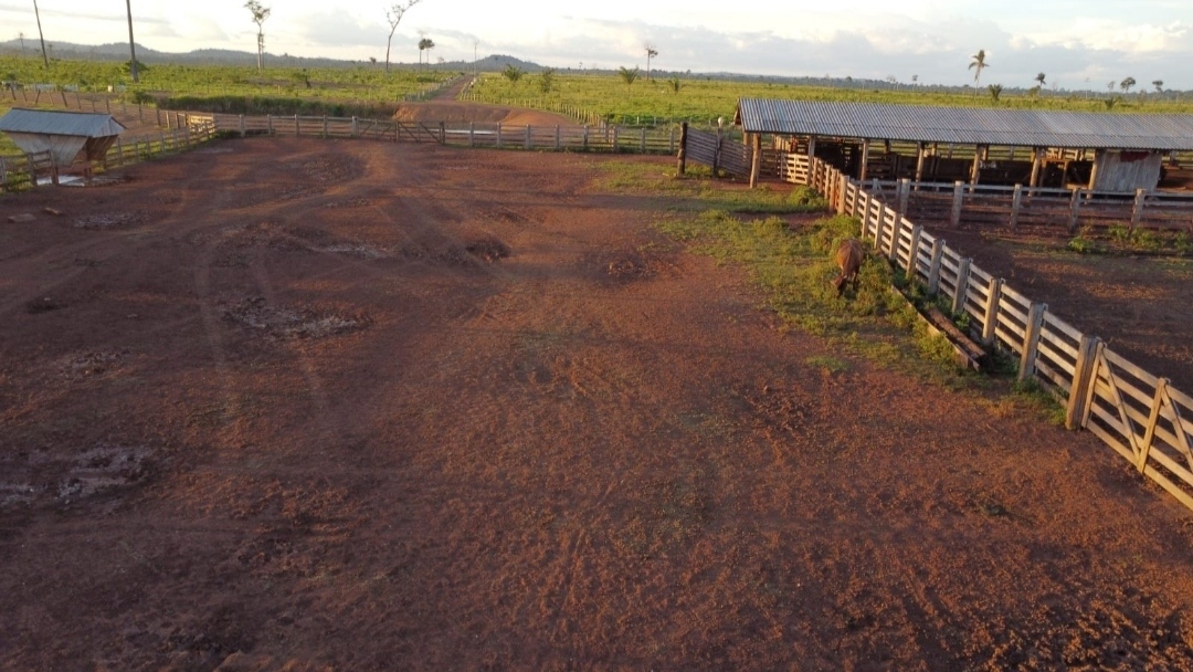 Imagem Fazenda à Venda, 430 m² em Centro  - São Félix do Xingu