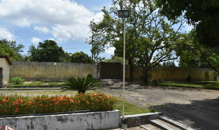Imagem Fazenda à Venda ou Locação, 300 m² em Vila Esperança - São Luís