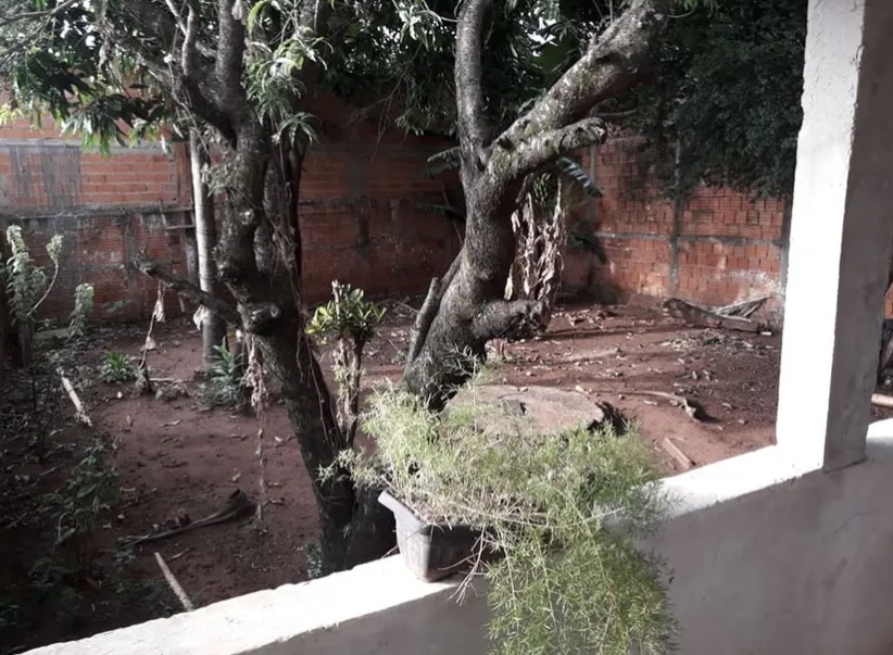 Imagem Casa com 3 Quartos à Venda, 350 m²em Jardim São Domingos - Campinas Imagem Casa com 3 Quartos à Venda, 350 m²em Jardim São Domingos - Campinas