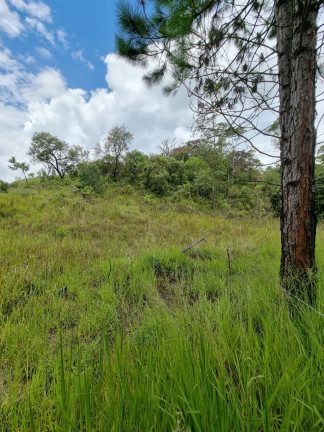 Imagem Terreno à Venda, 1.000 m² em Paruru - Ibiúna Imagem Terreno à Venda, 1.000 m² em Paruru - Ibiúna