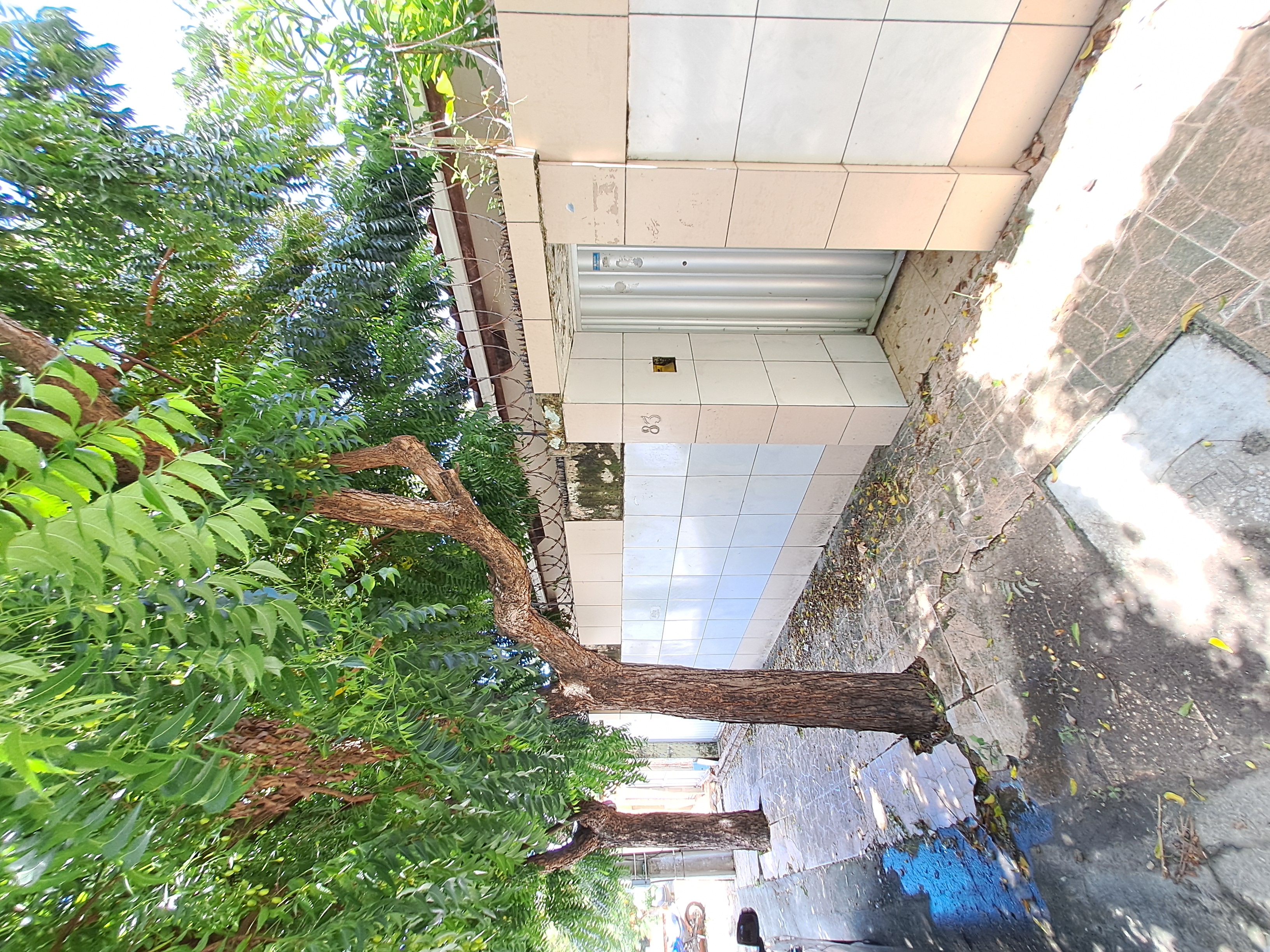 Imagem Casa com 3 Quartos à Venda, 220 m²em Edson Queiroz - Fortaleza